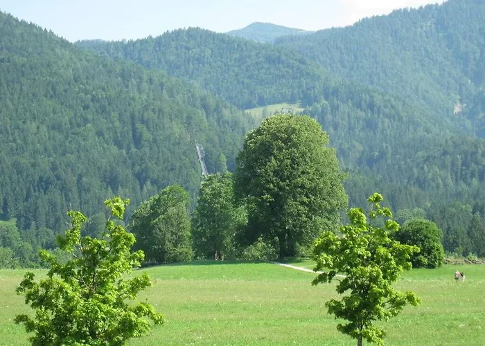 Klausenberg Hausberg - Gaestehaus Am Maibaum Holiday home Reit im Winkl
